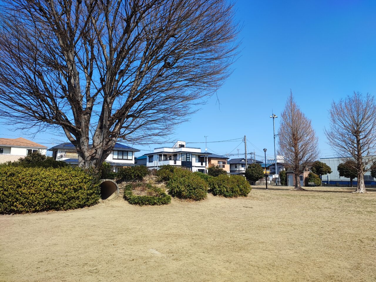 いきものクラフト市 第1回・白岡ツツジヶ丘公園