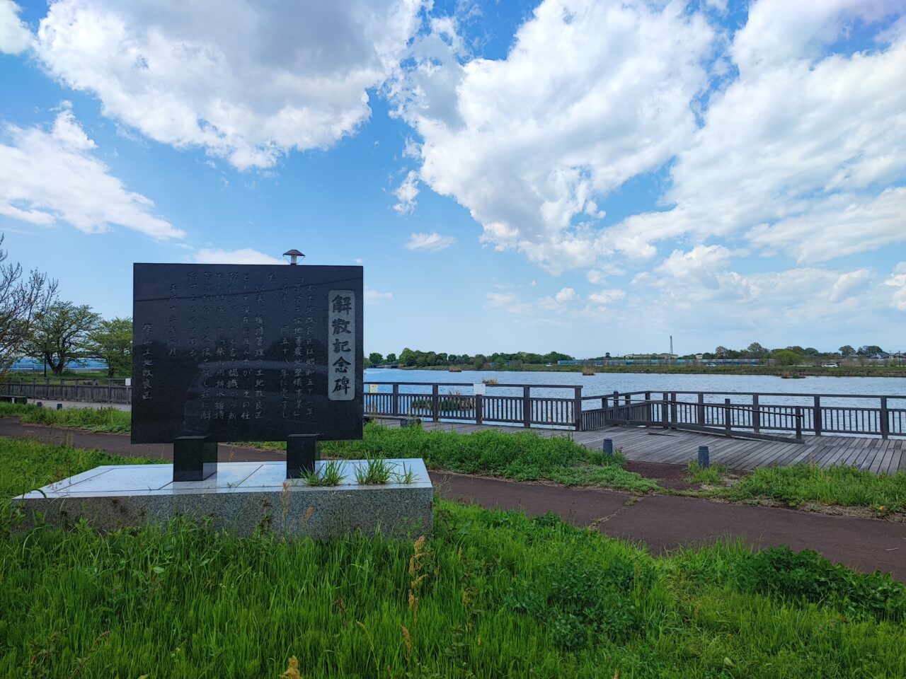 柴山沼鯉のぼり事業