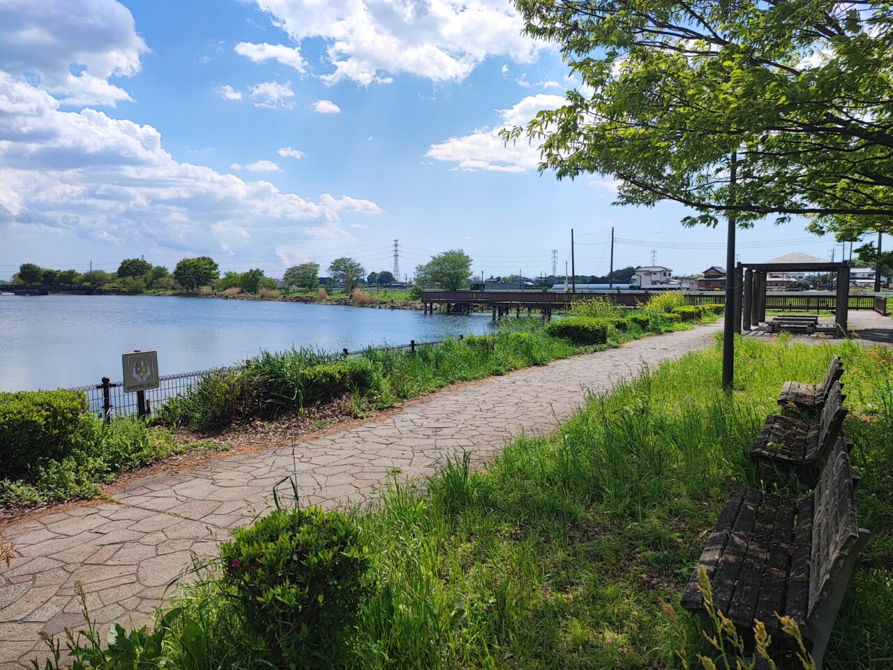 柴山沼鯉のぼり事業