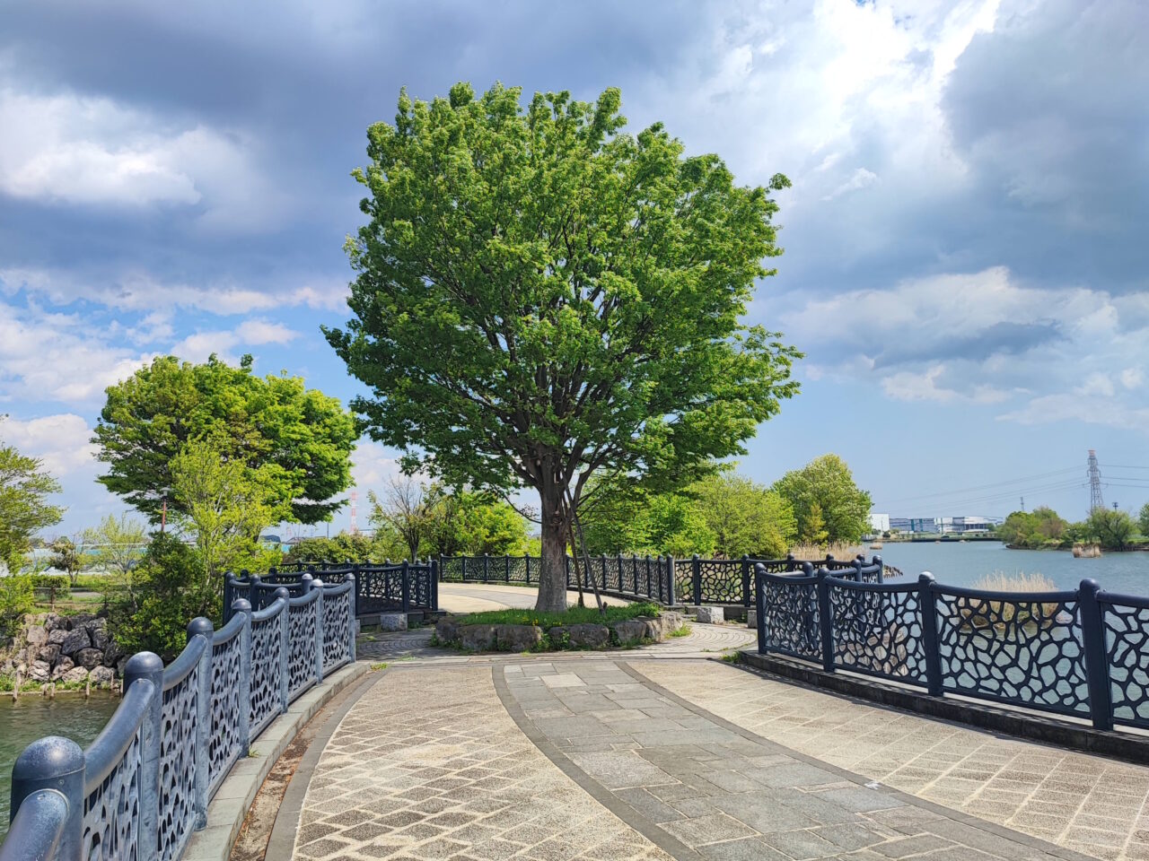 柴山沼鯉のぼり事業