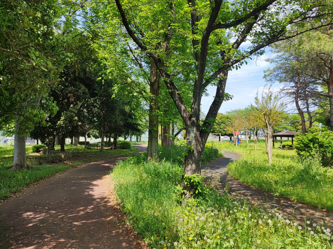 ふれあいの森公園 野外ステージ「白岡バンドフェスティバル2026」
