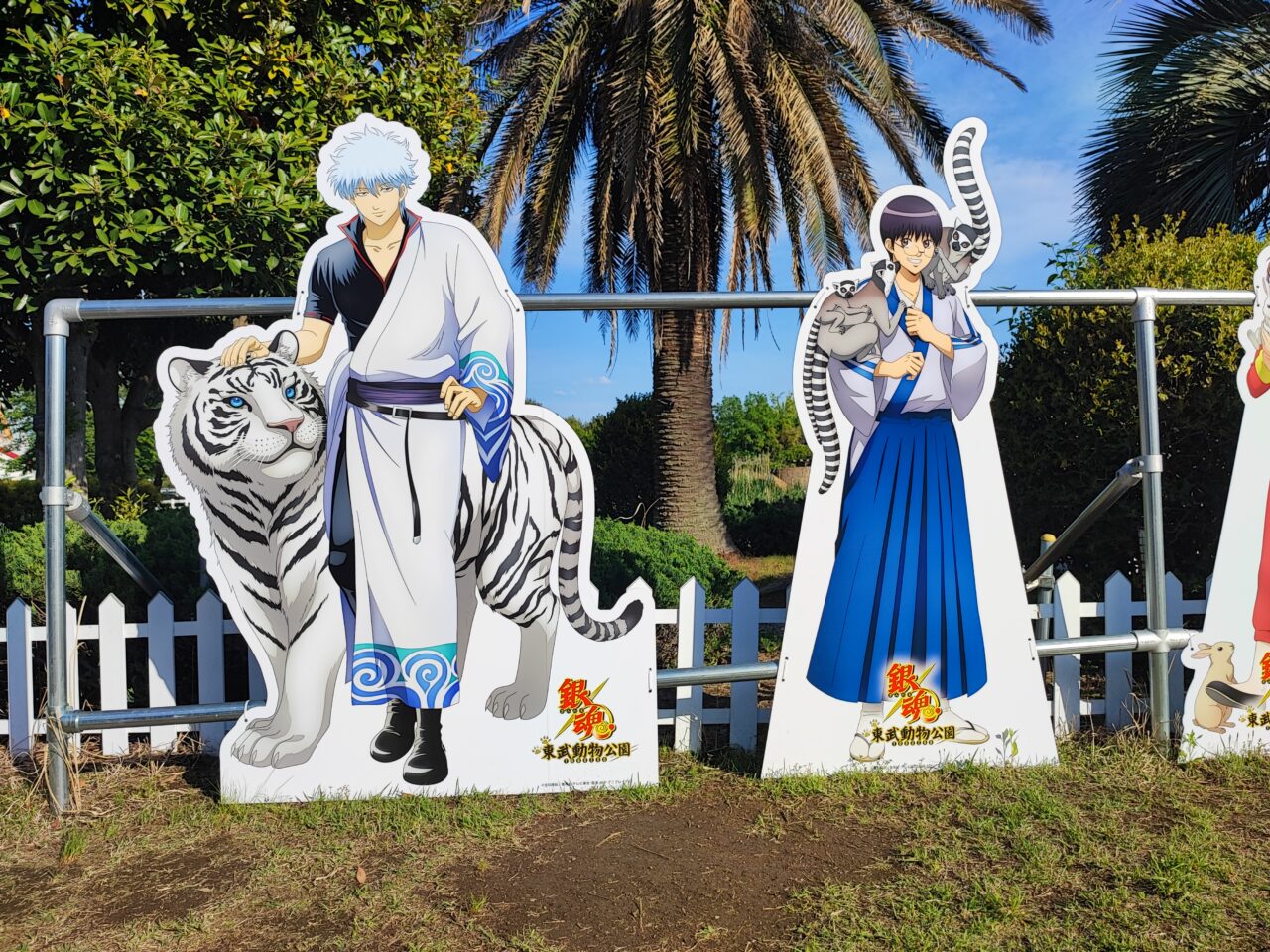 東武動物公園×TVアニメ『銀魂』コラボイベント