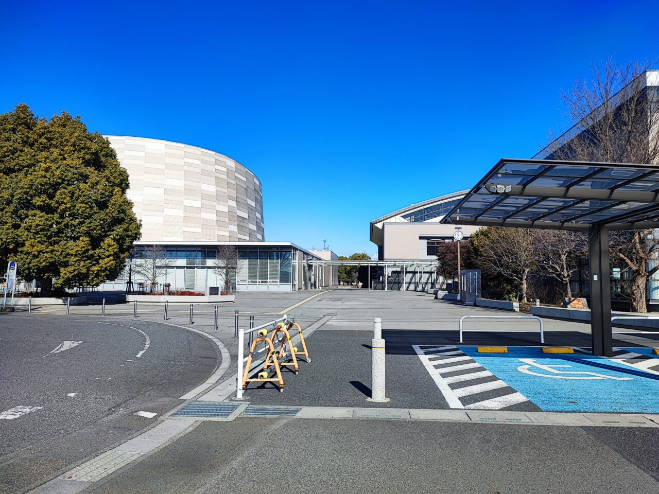関東大学バレーボール春季リーグ戦