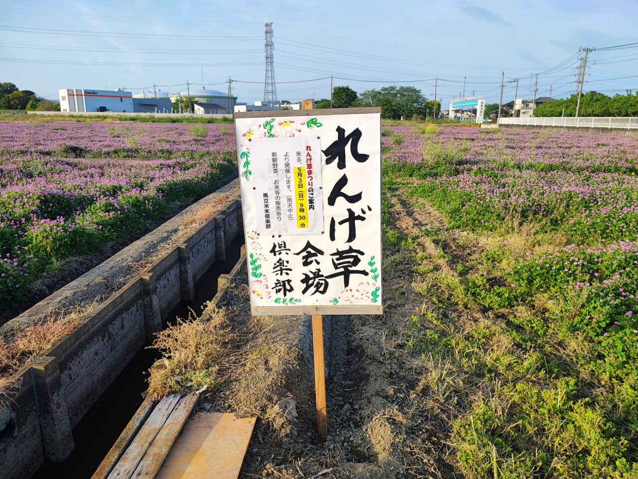 5月3日 馬立米米倶楽部 れんげ草まつり