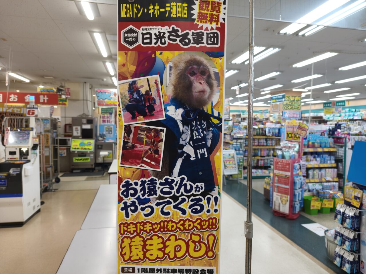 MEGAドンキ「日光さる軍団」による猿まわしショー