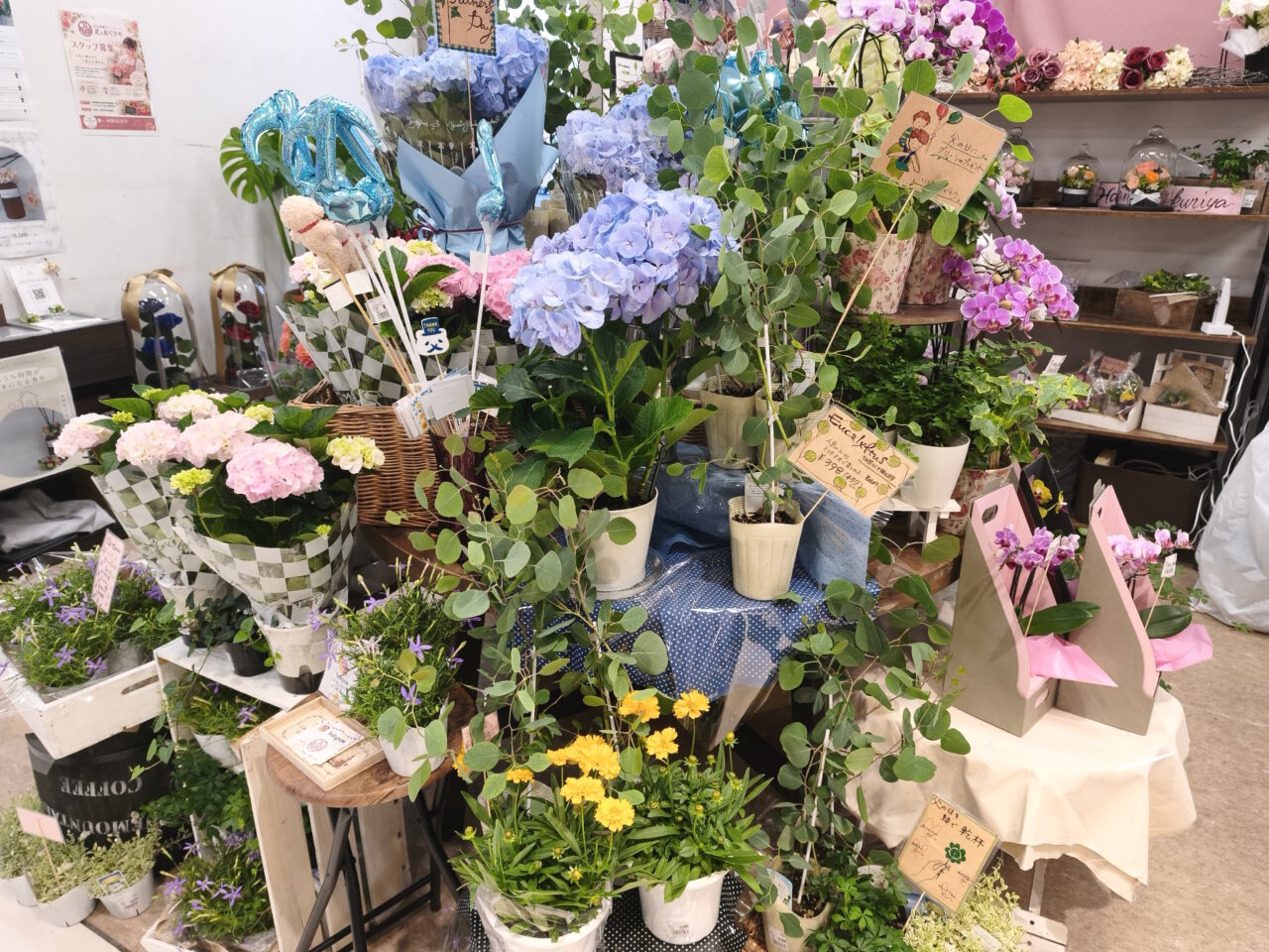 父の日ギフトを探すなら「花とおくりや」へ