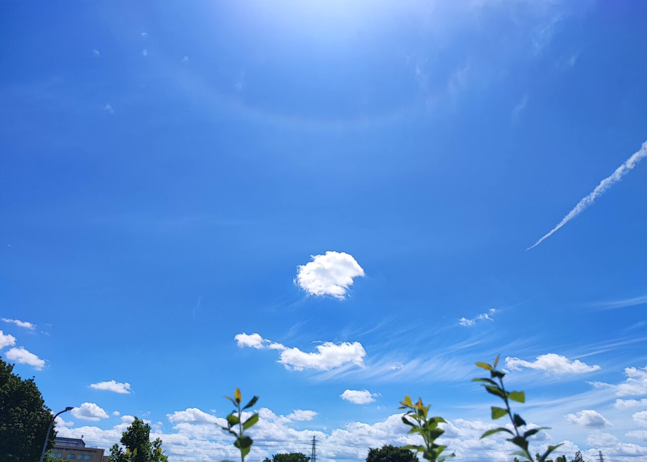 2026年7月18日 東武動物公園「東武スーパープール」オープン