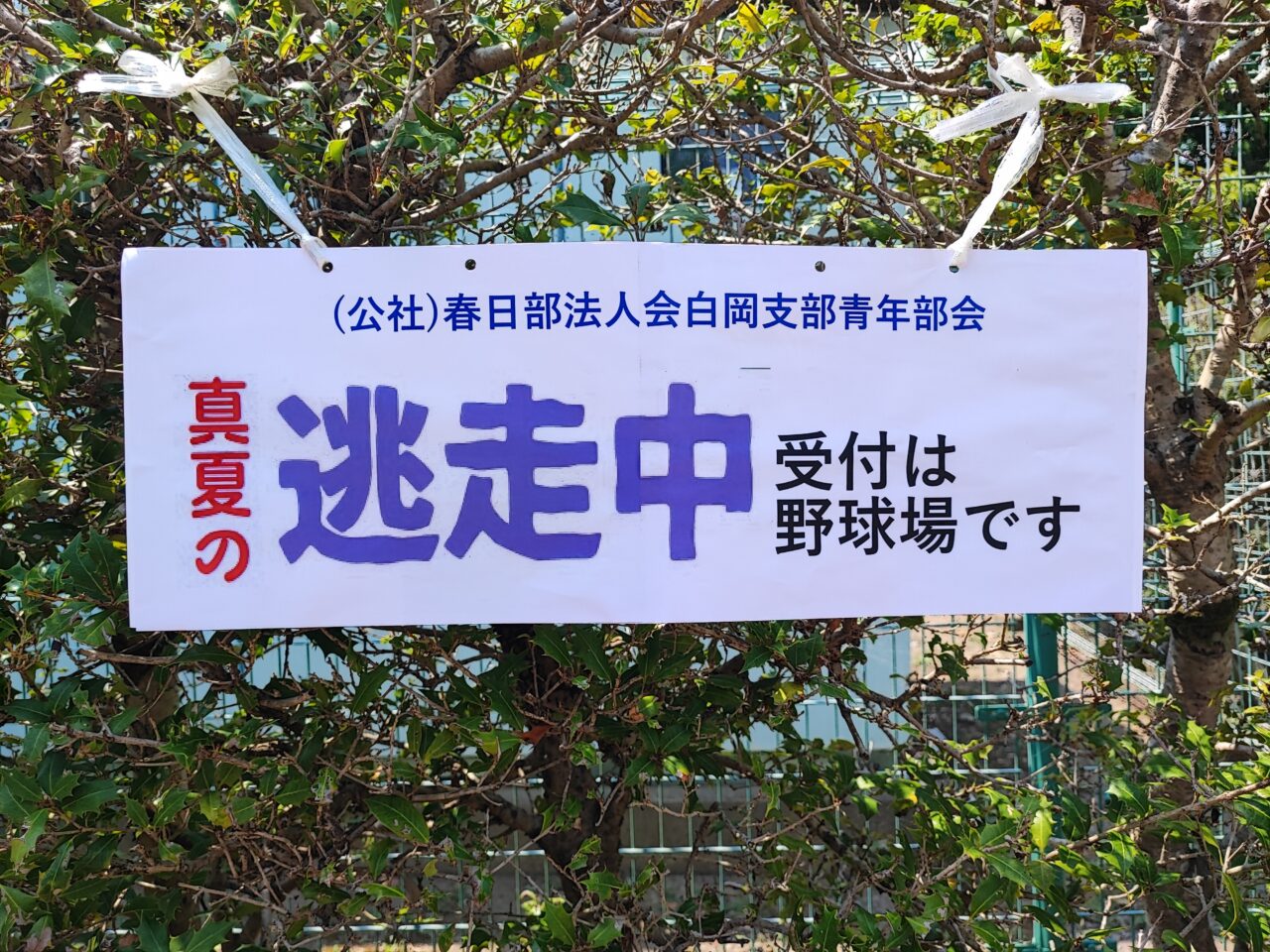 白岡まつり2025