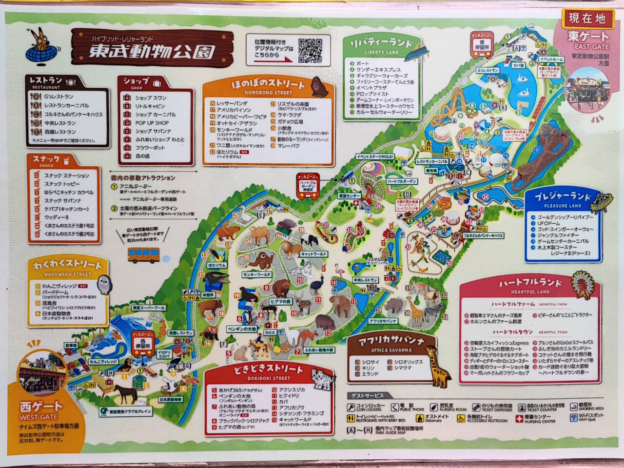 2026年7月18日 東武動物公園「東武スーパープール」オープン