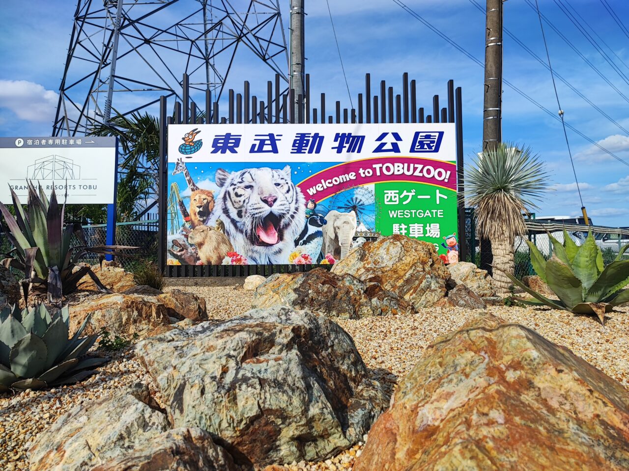 2026年7月18日 東武動物公園「東武スーパープール」オープン