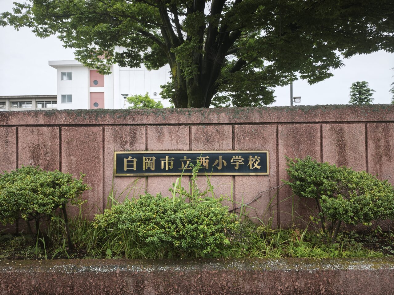 白岡市立西小学校