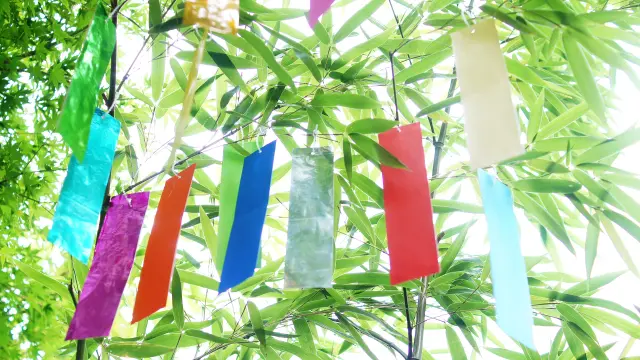 東武動物公園「夏だ！びっしゃーゆうえんち2026」