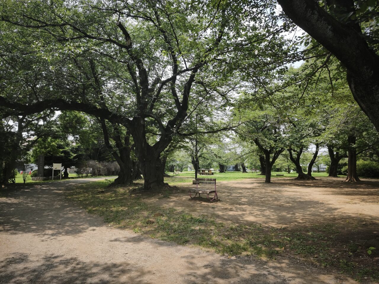 白岡市コミュニティセンター「夏休みおうちごはん応援プロジェクト」