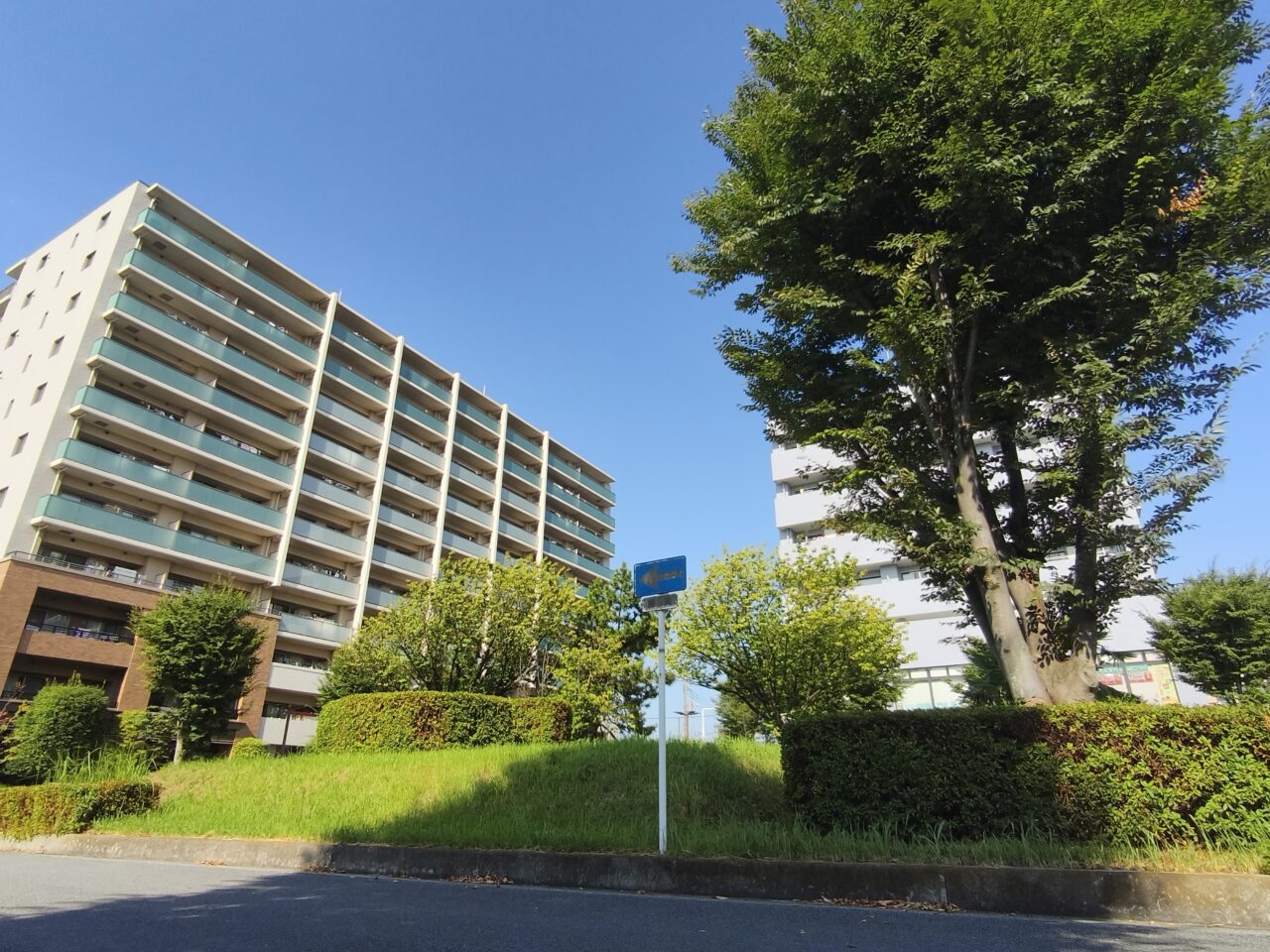 新白岡ちょいのみ「しんしらひろば」