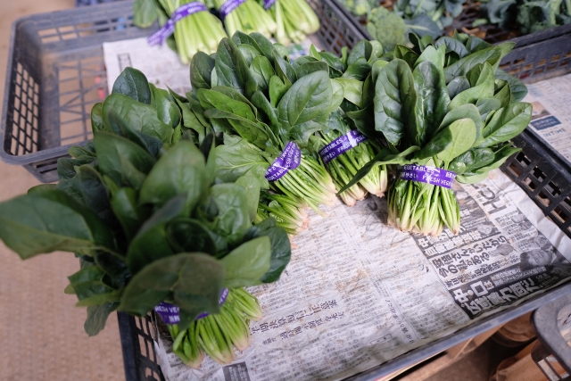 無人野菜直売所「白岡市」