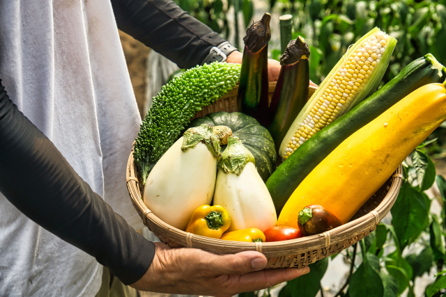 野菜直売所