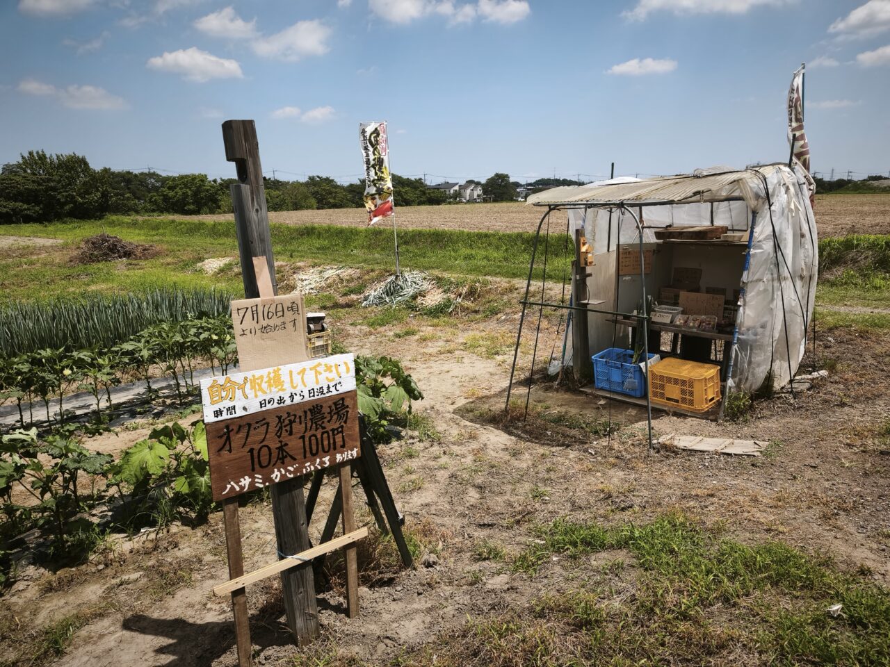 野菜直売所