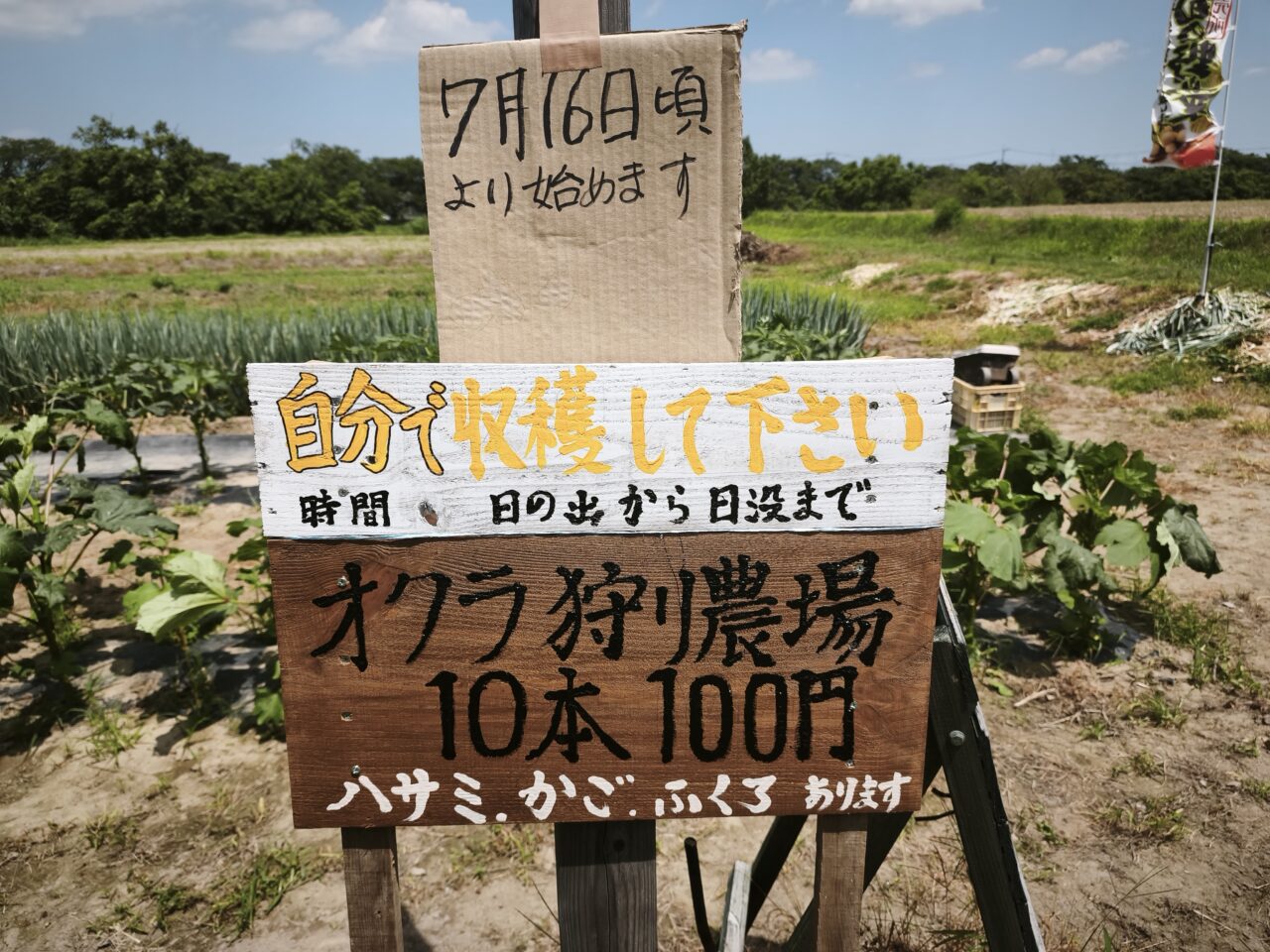 野菜直売所