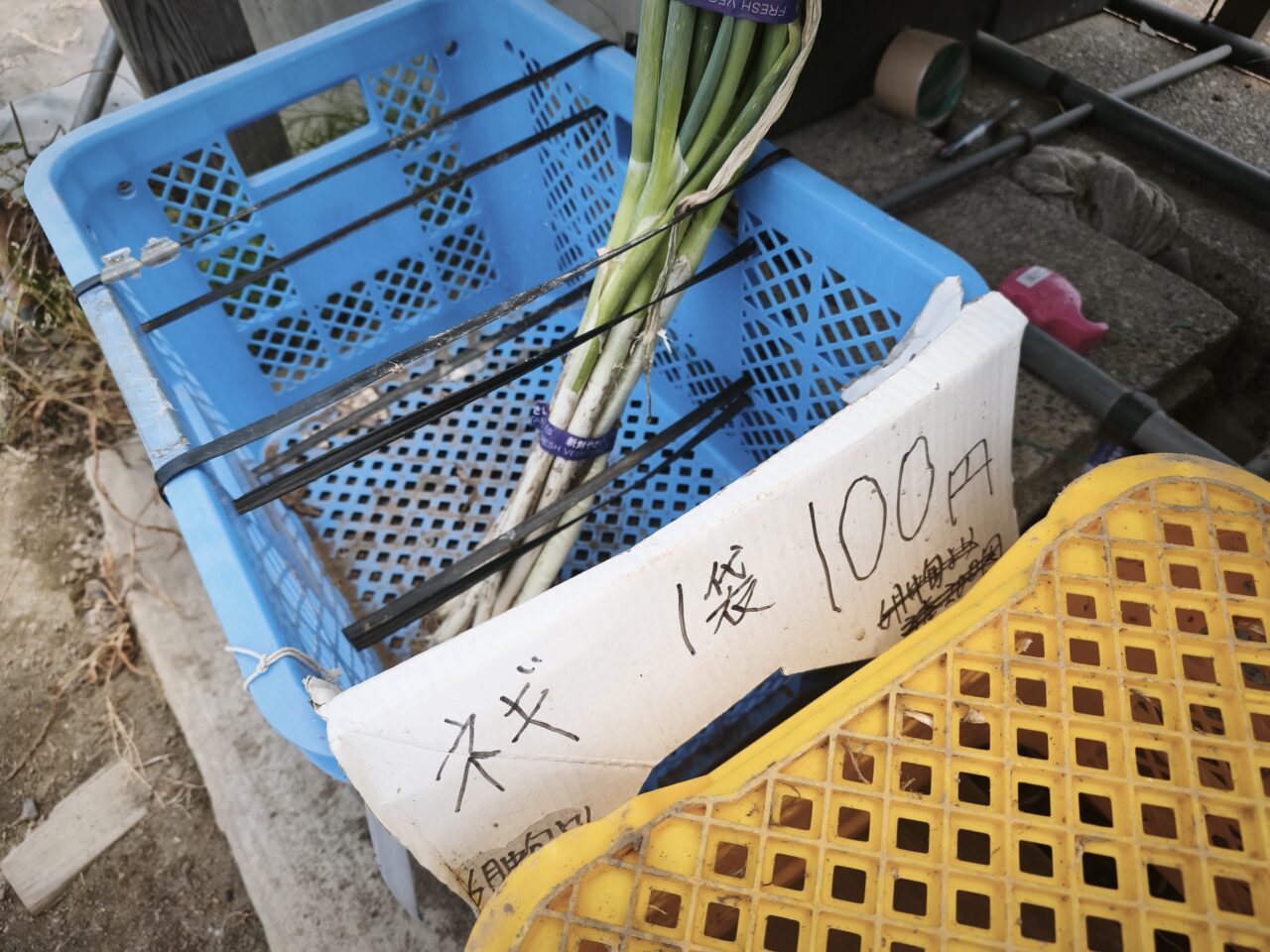 野菜直売所