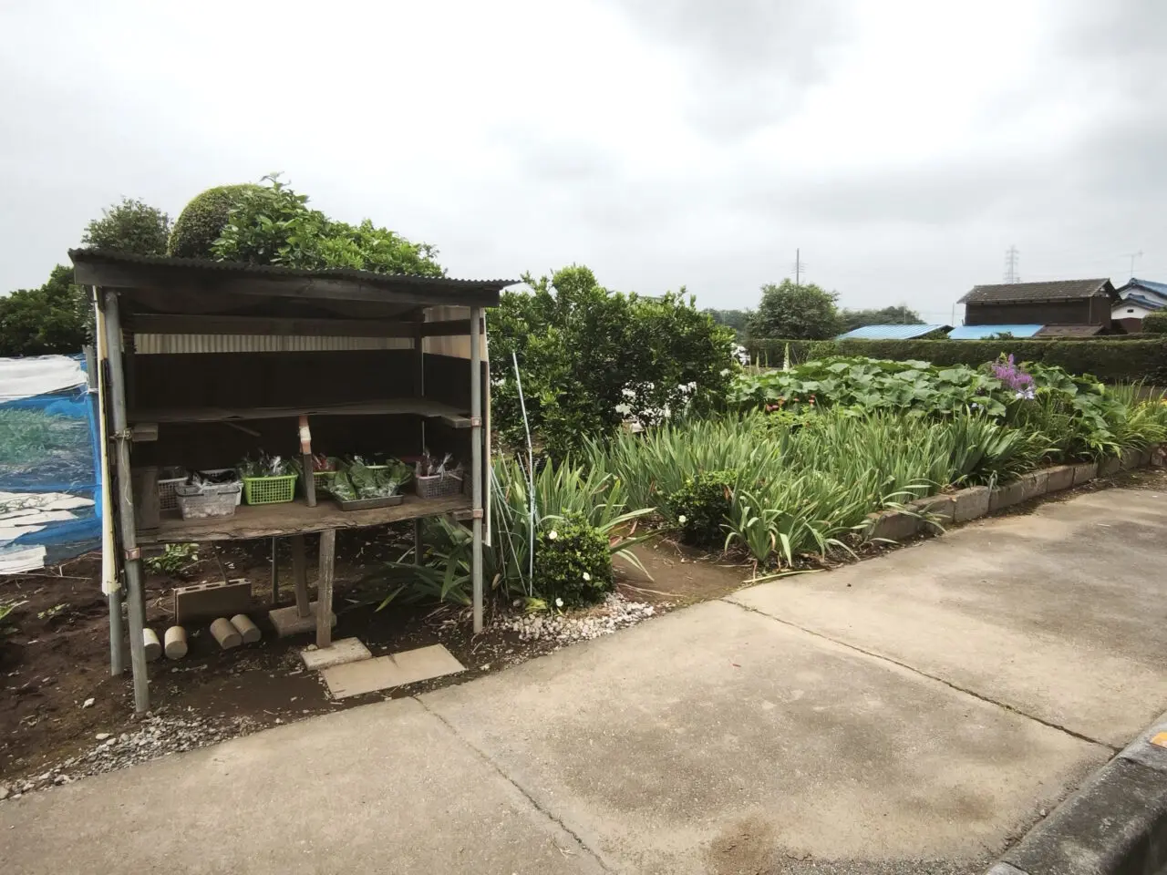 無人野菜直売所「白岡市」