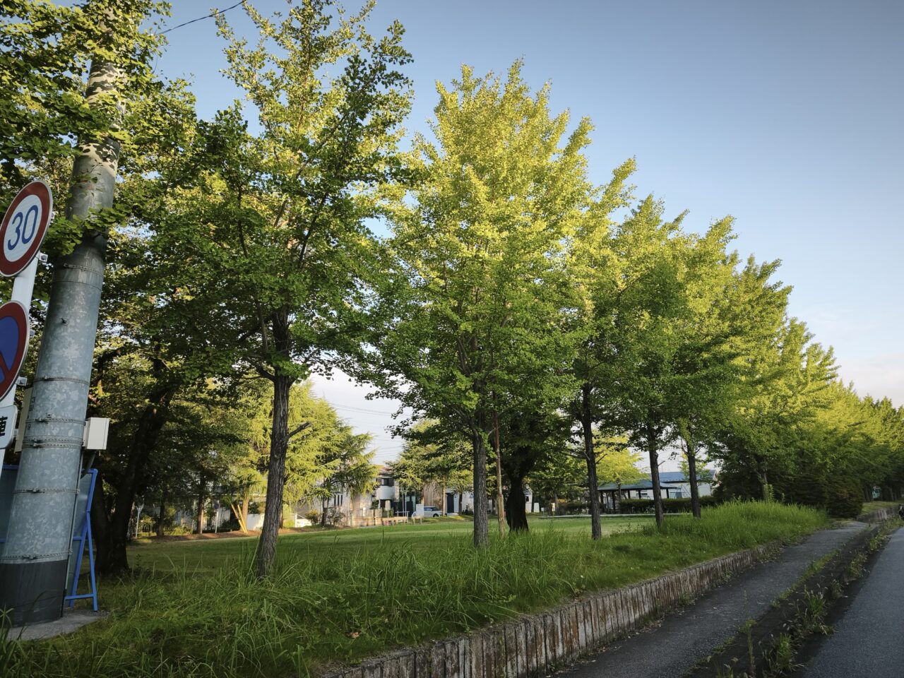 蓮田市桜台「桜台まつり」松ヶ崎公園
