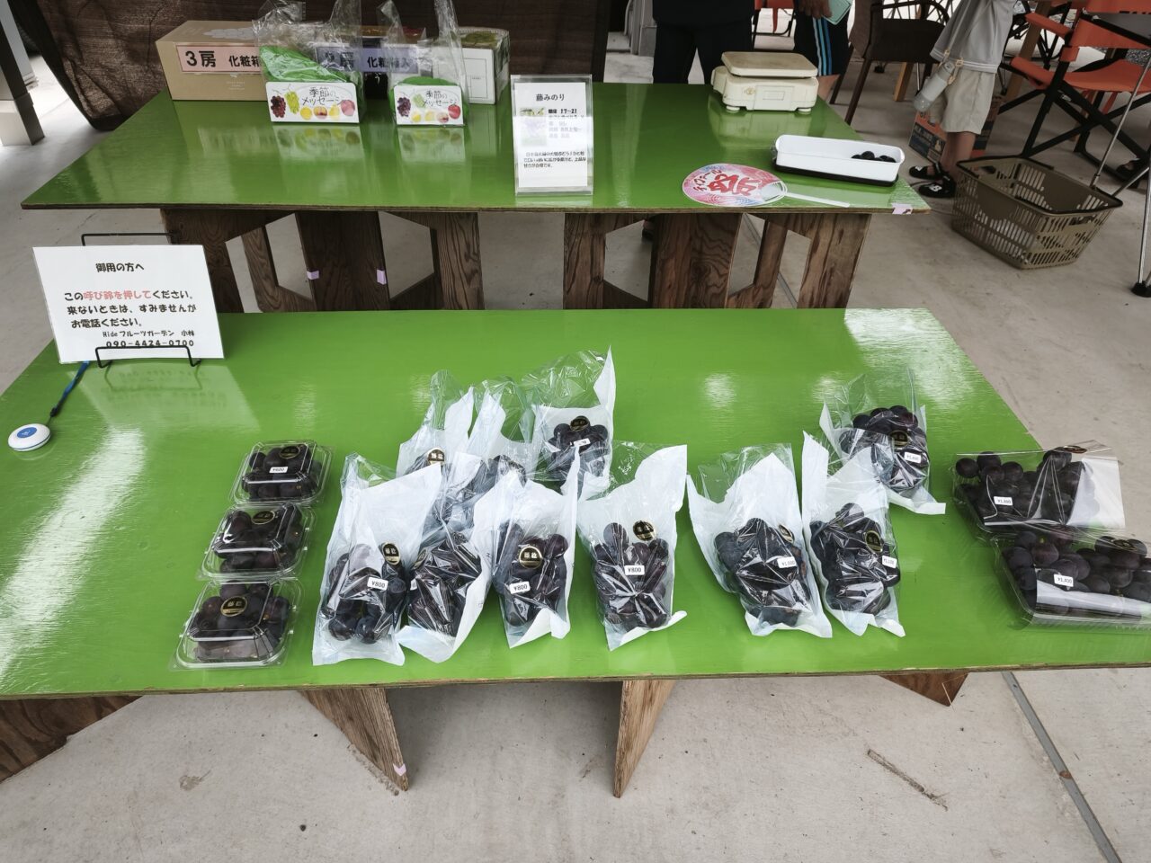 蓮田市貝塚「Hideフルーツガーデン」