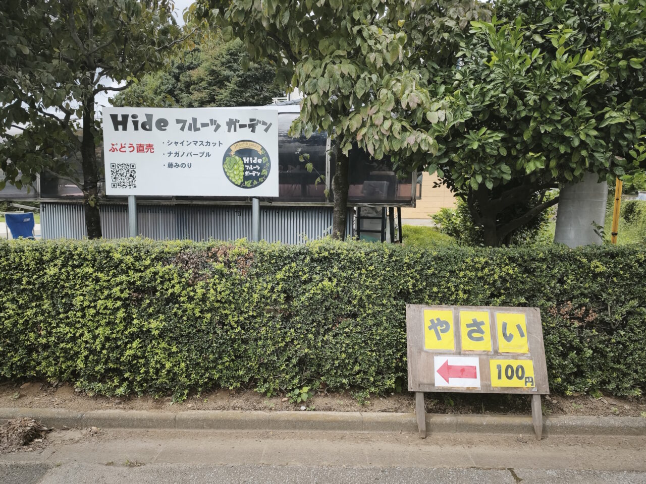 蓮田市貝塚「Hideフルーツガーデン」