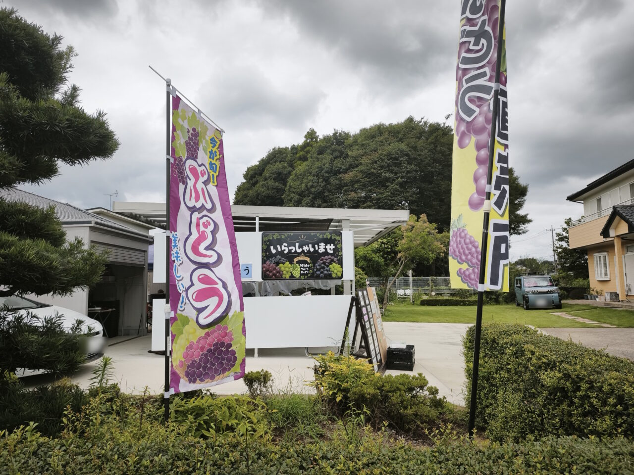 蓮田市貝塚「Hideフルーツガーデン」