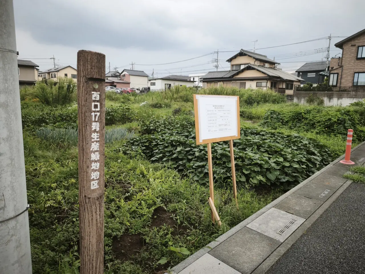 ローソンオープン「蓮田市関山三丁目」