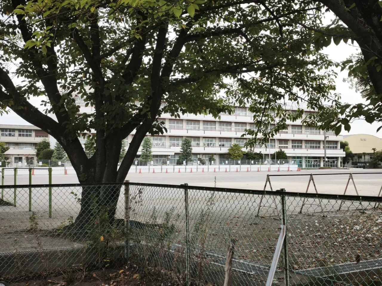 白岡市立西小学校 新校舎整備