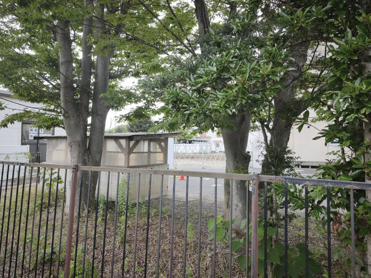 白岡市立西小学校　新校舎整備
