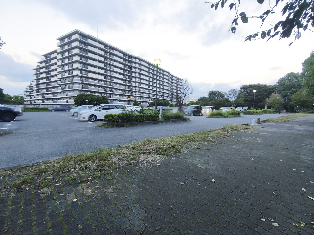白岡市勤労者体育センター「AZ SAITAMA」スペシャルイベント