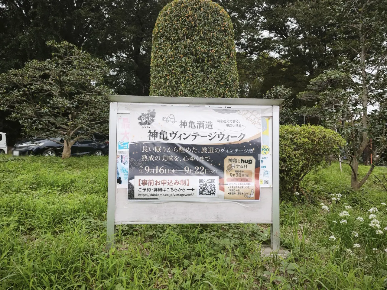 hug_marche 「神亀とhugする日」