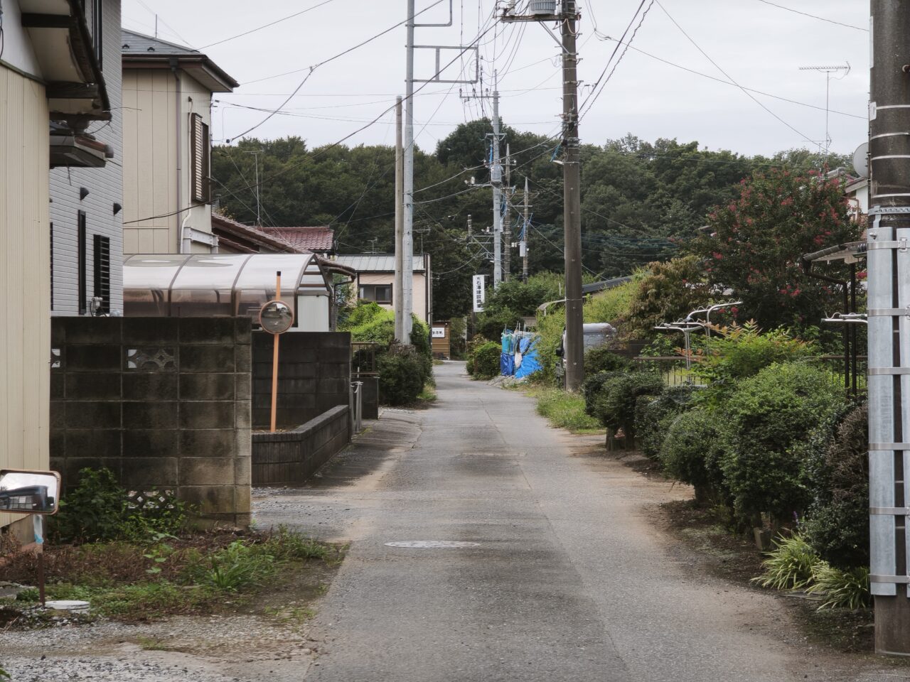 はぐはうす「紫香楽（しこうらく）」