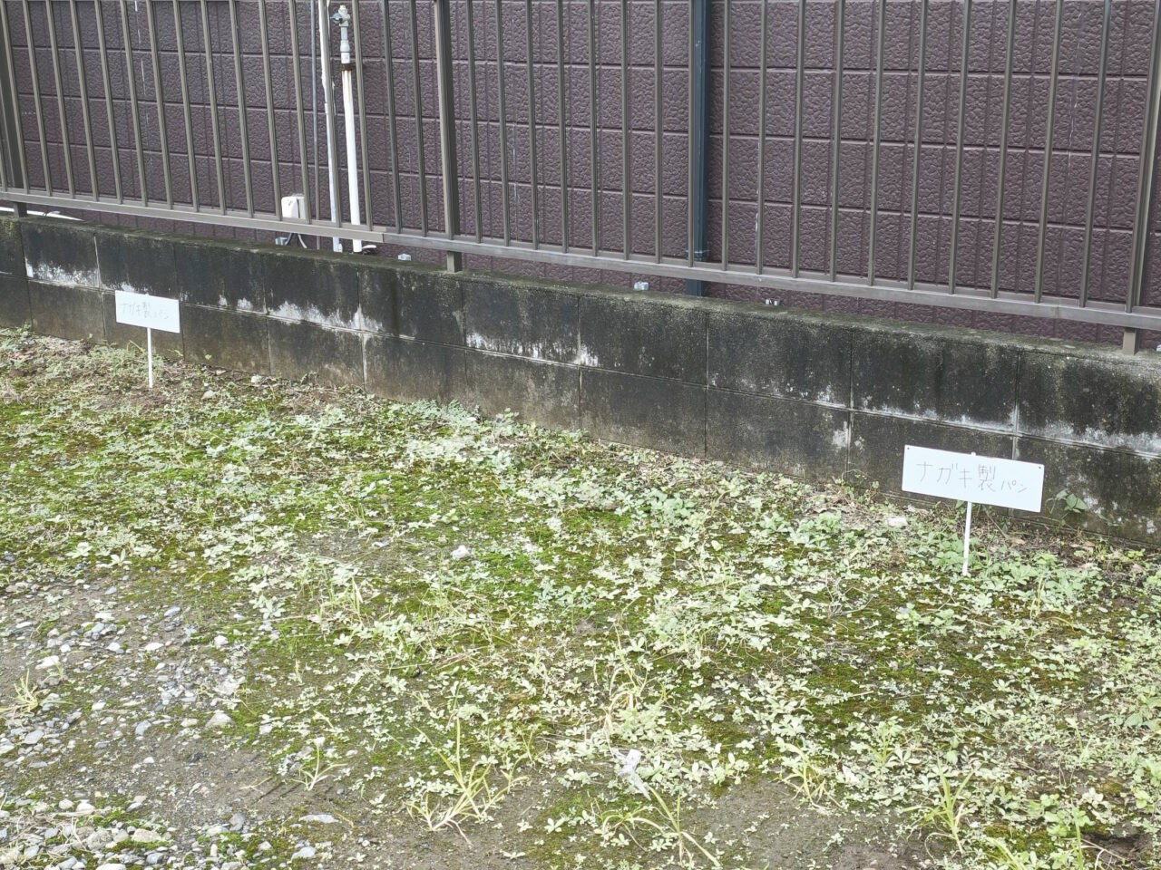 ナガキ製パン