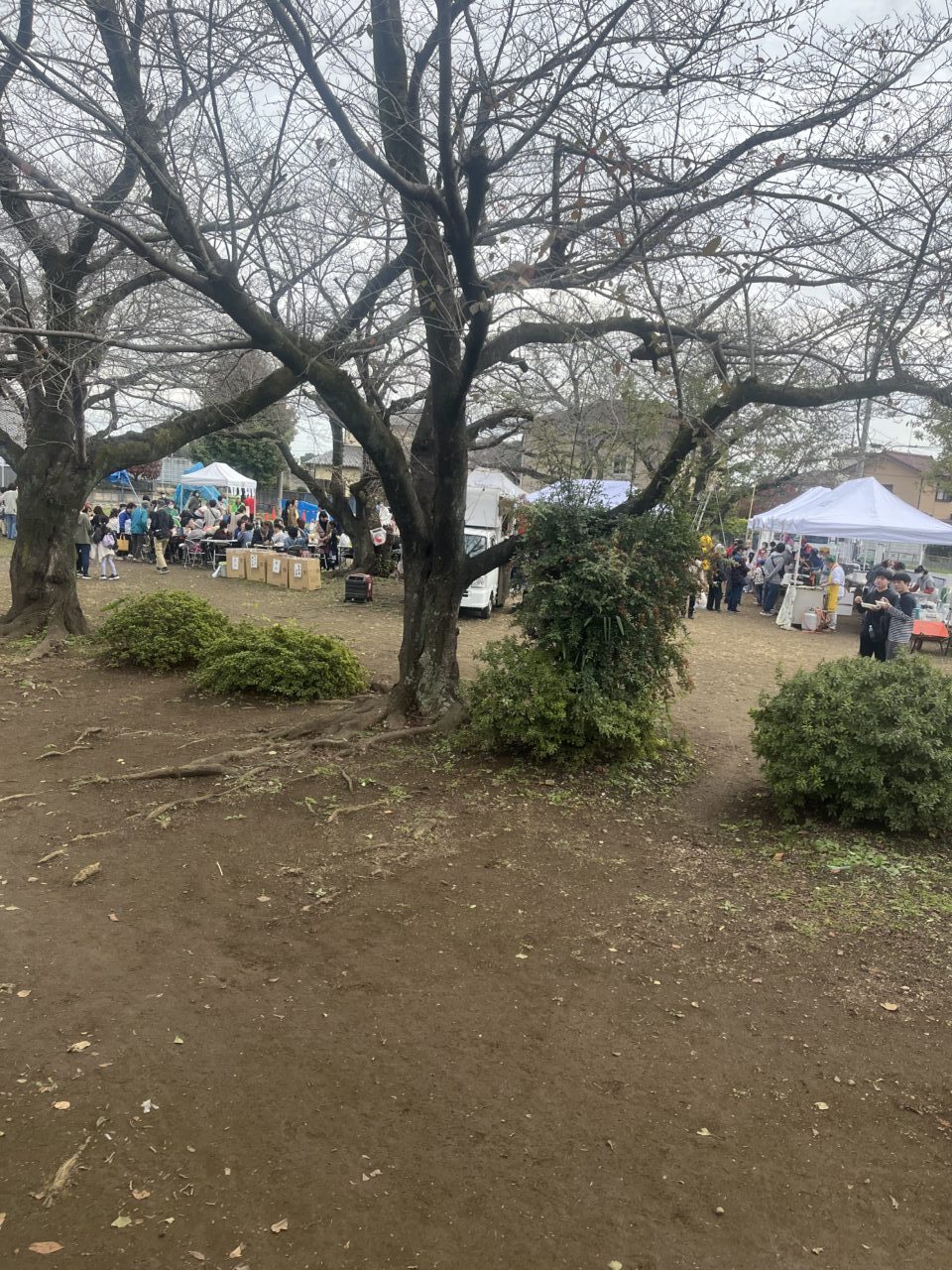 沖山二区ファミリーフェスティバル