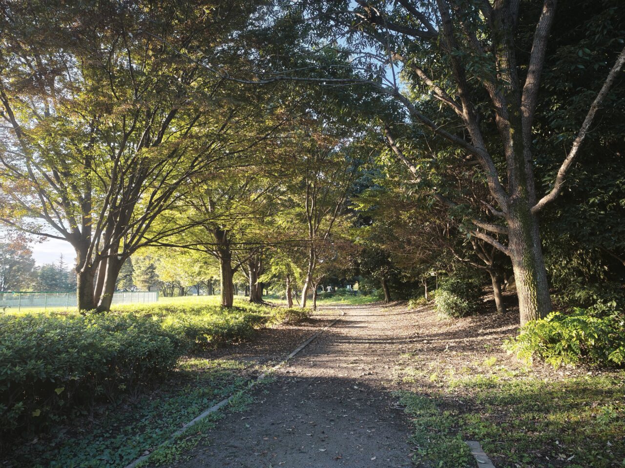 白岡市総合運動公園