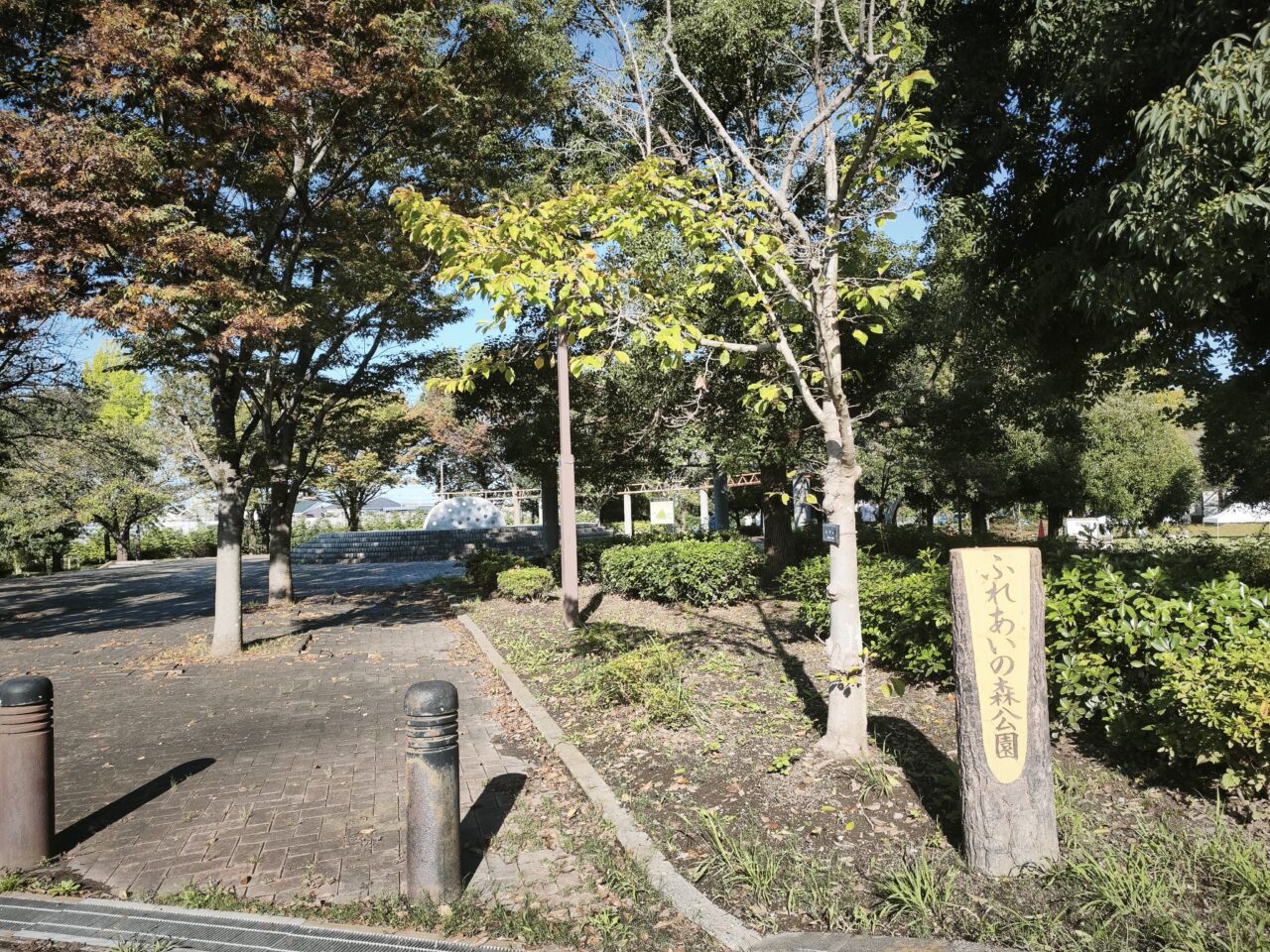 ふれあいの森運動公園「白岡GO!! DANCE FESTA」