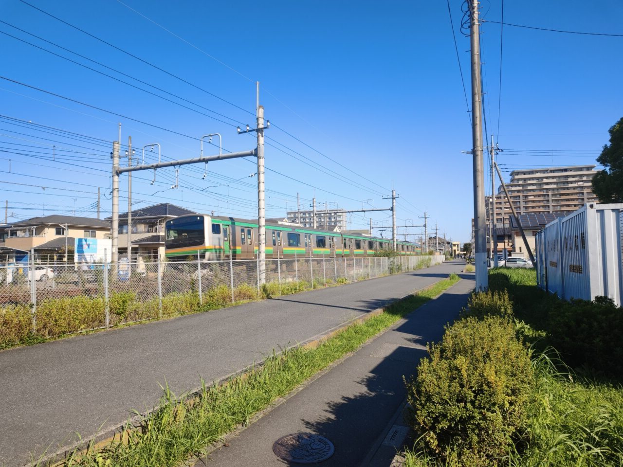 新白岡「駒形まつり」