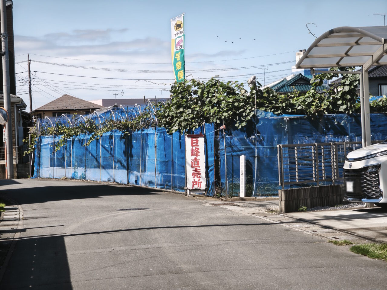 杉崎ぶどう園