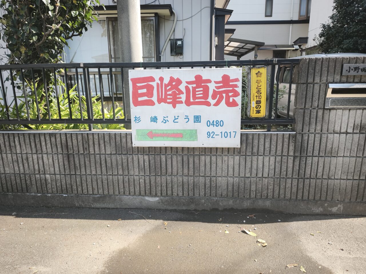 杉崎ぶどう園