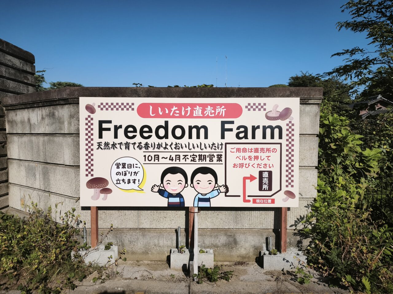 Freedom Farm(フリーダムファーム)「極上プレミアムしいたけ」