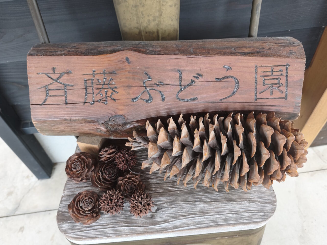 蓮田市城「斉藤ぶどう園」残り4日間